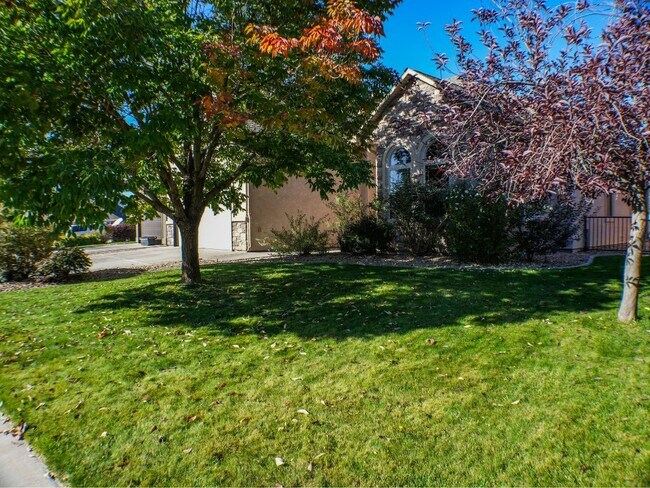 Building Photo - 303 Belden Ct