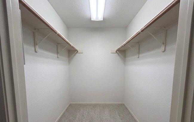 Building Photo - 7804 Cheno Cortina Trl