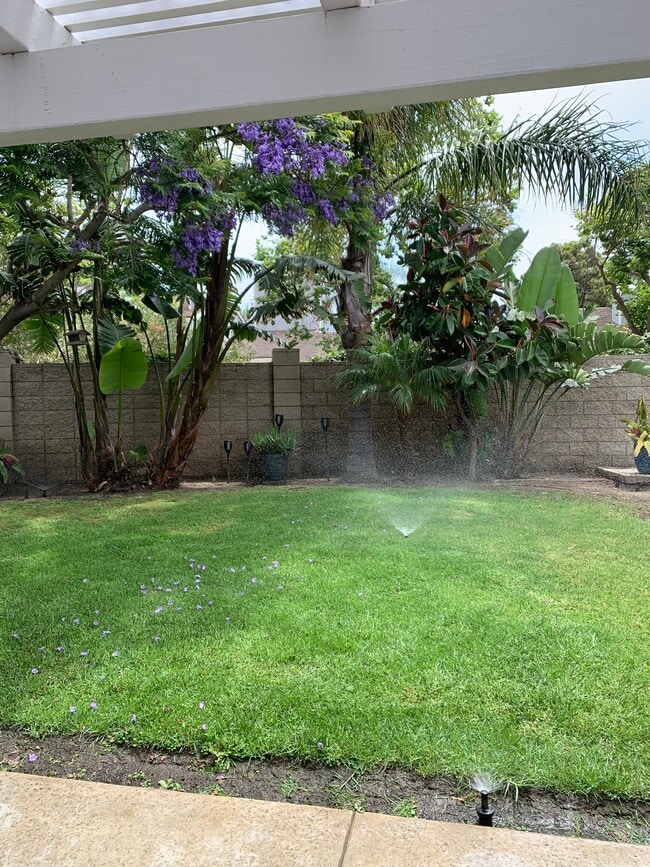 Yard - 2532 Seamist Ct