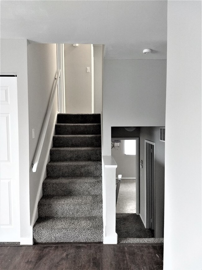 Foto del edificio - 271 Glenfield Ct