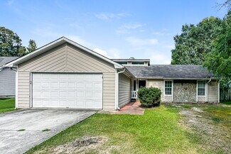 Building Photo - 10838 Starling Trail