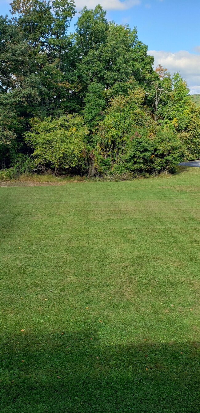 Foto del edificio - 65 Newman Rd