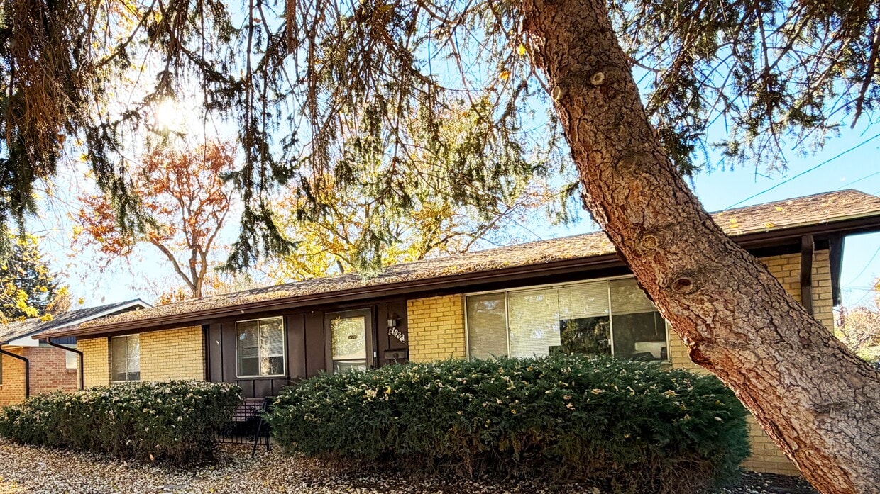 Photo - 1033 Grant St (Longmont, CO)