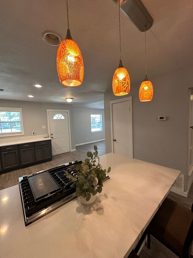 910 Morey Peak Dr, San Antonio, TX 78213 House Rental in San Antonio