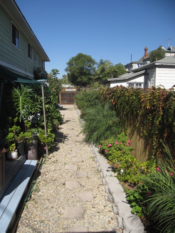 Community Garden - Island Ave Senior Apts