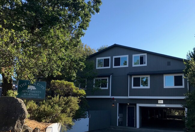 View from 251 Driveway - The Oaktops Apartments