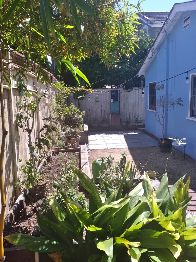 Private yard - 232 N Sierra Ave