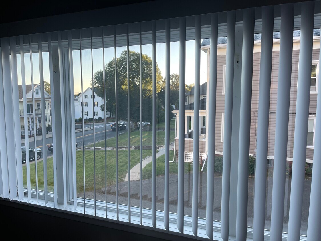 Picture window - 511 Pleasant St