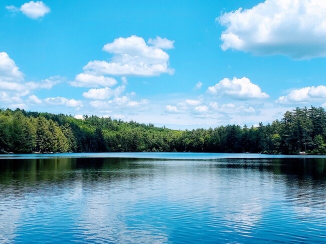 Foto del edificio - 4 Lk Vw Rd