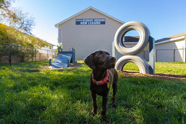The Row Apartments, cerca de la Universidad de Missouri, cuenta con un parque canino con obstáculos de agilidad. - The Row