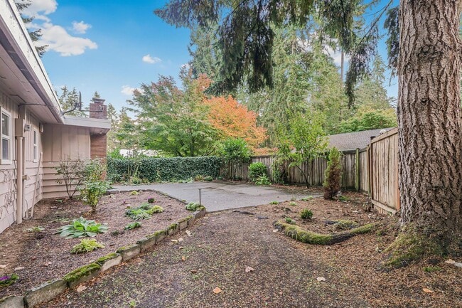 Foto del edificio - Fully Renovated & Very | Huge Yard | New HVAC | Lease w/ Option to Buy