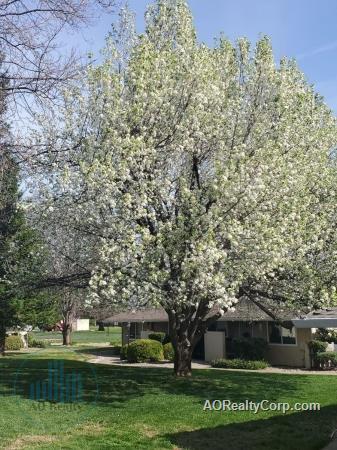 Foto del edificio - Redding Hilltop Apartments