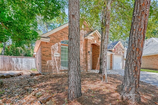 Foto del edificio - 38 Tethered Vine Pl