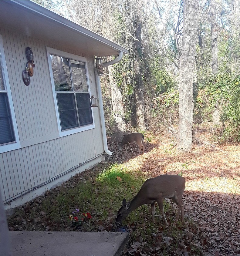 Primary Photo - 160 Pleasant Hill Ln