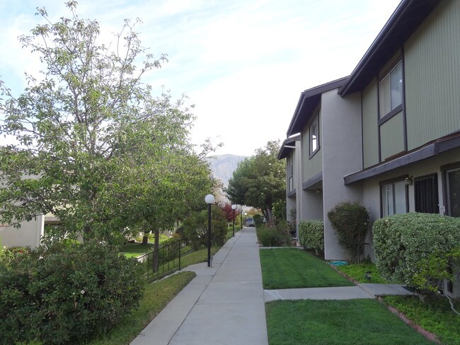 Front alley - 8774 Wyngate St