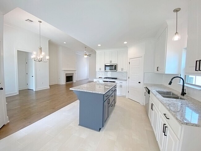 Building Photo - 4 Bedroom New Construction home in Denham ...