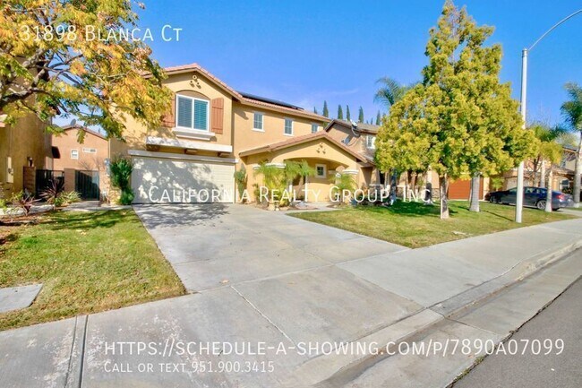 Building Photo - 31898 Blanca Ct