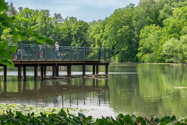 Enjoy nature at Quarton Lake Park's overlook in Birmingham.