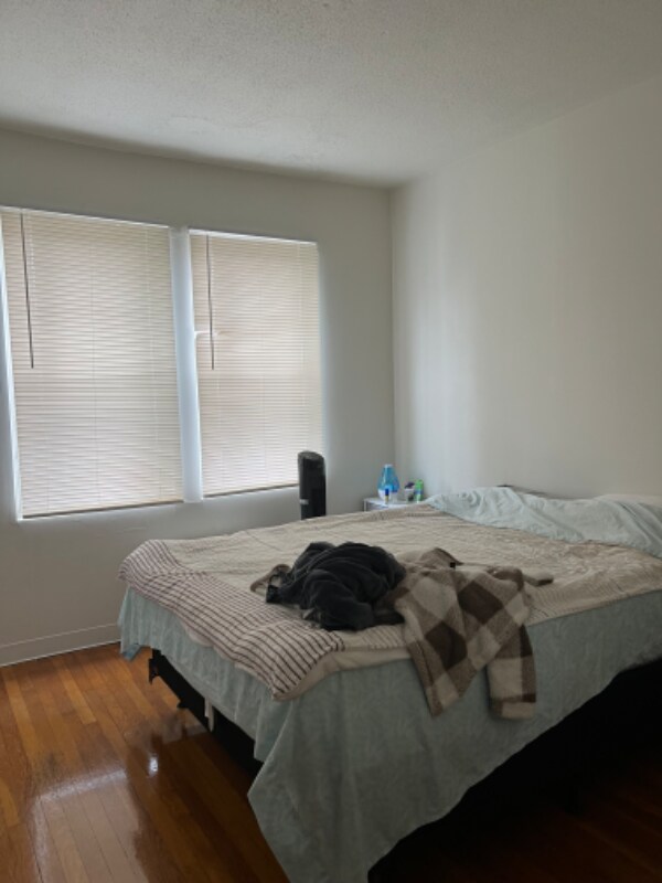 Foto del edificio - 385 Ives St