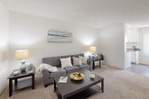 Located at 14731 Sherman Way in Los Angeles, CA, this well-appointed one-bedroom, one-bathroom unit offers a thoughtfully organized single-floor layout. The living room greets you with neutral-toned carpet, soft lighting, and textured ceilings, creating a warm and comfortable atmosphere. It flows seamlessly into the dining area, which features durable wood-look flooring, a ceiling fan with light fixture, and large vertical-blind-covered windows that invite natural light throughout the day. The galley-style kitchen is efficiently designed with white cabinetry, a gas range, full-size refrigerator, and a countertop sink — all presented in a clean, bright aesthetic. The generously sized primary bedroom is carpeted and bathed in natural light from a sliding glass door that opens to an outdoor view, lending an airy quality to the private retreat. A hallway connects the bedroom to the full bathroom, which includes a shower-tub combination with neutral tile surround and wood-look flooring that ties in with the rest of the unit. Throughout the space, a consistent palette of whites and warm neutrals creates a cohesive and inviting ambiance, making this a practical and comfortable home in the heart of Los Angeles.