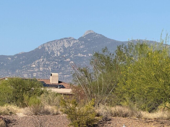 Building Photo - 14260 E Placita Lago Verde