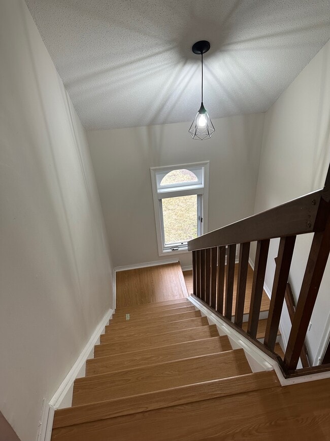 Foto del edificio - 50 Little Oak Ln