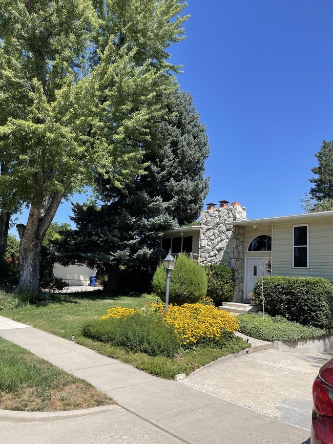 Foto del edificio - 6245 Rodeo Ln