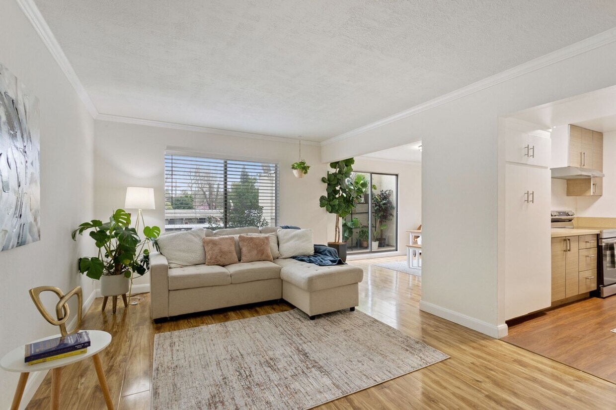 Cute Condo with Community Pool! - Cute Condo with Community Pool!