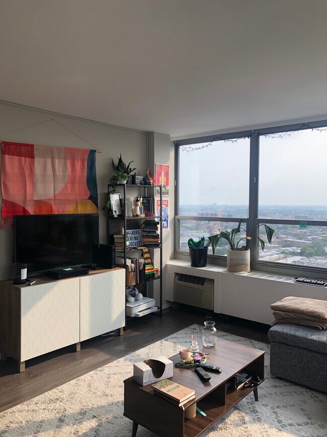 Living Room 2 - 3550 N Lake Shore Dr