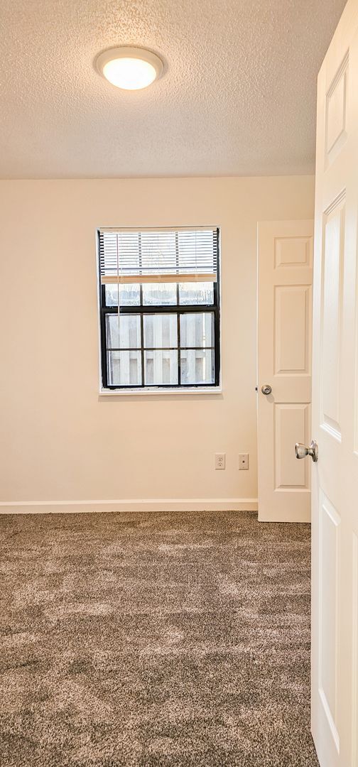 Foto del edificio - Beautifully updated 4 Bedroom/2 Bathroom downstairs apartment