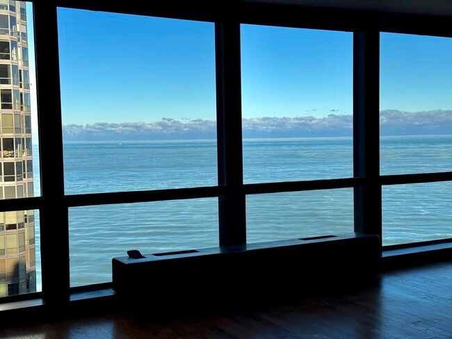 Foto del edificio - 900 N Lake Shore Dr