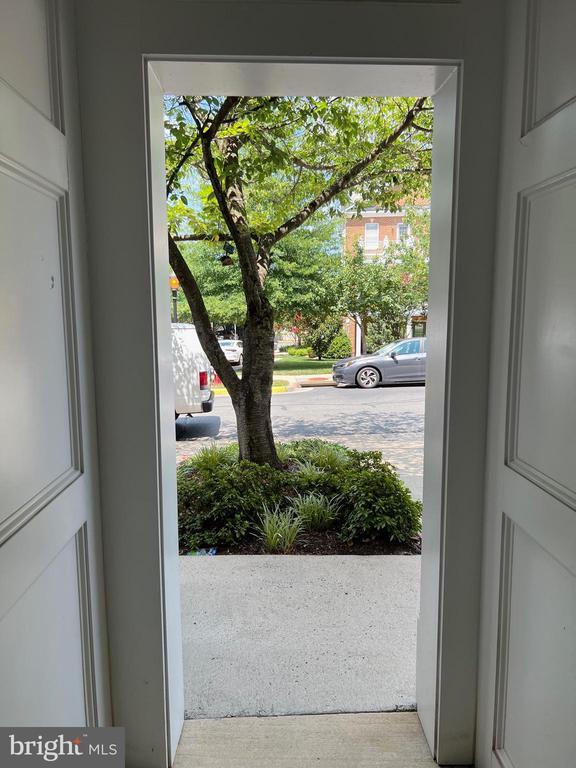 Foto principal - 11463 Galliec St