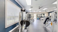 Located in Trinity, Florida, this fitness center offers a generously sized, single-floor workout space designed to support a full range of exercise routines. The interior is finished with a striking combination of bold navy blue accent walls and warm beige tones, complemented by white crown molding that adds a polished, upscale feel to the facility.

The cardio zone is well-appointed with multiple treadmills, elliptical cross-trainers, and a stationary bike, all positioned along windowed walls that provide views of the surrounding community and allow ample natural light to fill the space. Wall-mounted flat-screen televisions are positioned throughout for entertainment during workouts.

The strength training area features a robust selection of Hoist cable and resistance machines, a dedicated free weights section with a full dumbbell rack, and adjustable benches for versatile training. Medicine balls and stability balls are also available for functional fitness exercises.

Large floor-to-ceiling mirrors line one wall, visually expanding the room and allowing users to monitor their form. The durable rubberized flooring provides safety and comfort underfoot. Multiple ceiling fans and recessed panel lighting ensure a cool, well-lit environment year-round. The open floor plan allows for easy movement between equipment zones, creating an efficient and welcoming fitness experience.