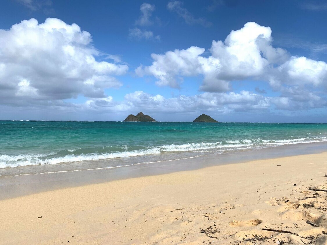 Foto principal - Beachside 2 bedroom + loft, 3 full bathroo...