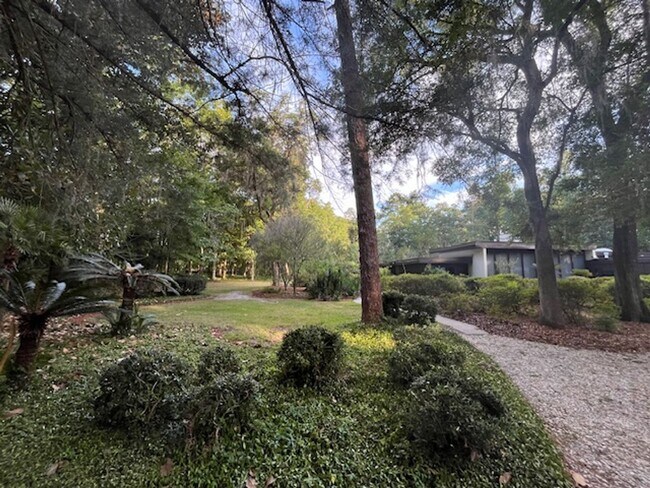 Foto del edificio - Beautiful pool home in Millhopper Forest
