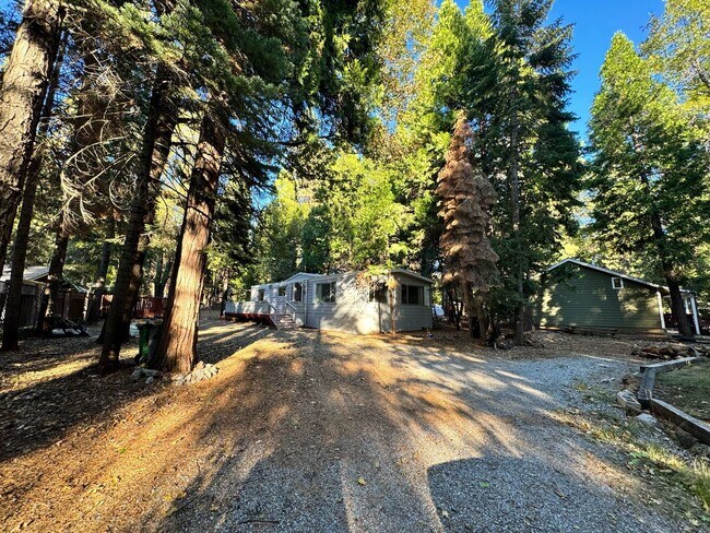 Building Photo - Cozy Mountain Rental!