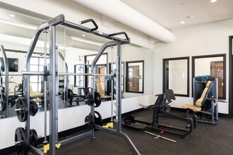 Interior Photo - Zimmerman Luxury Apartments