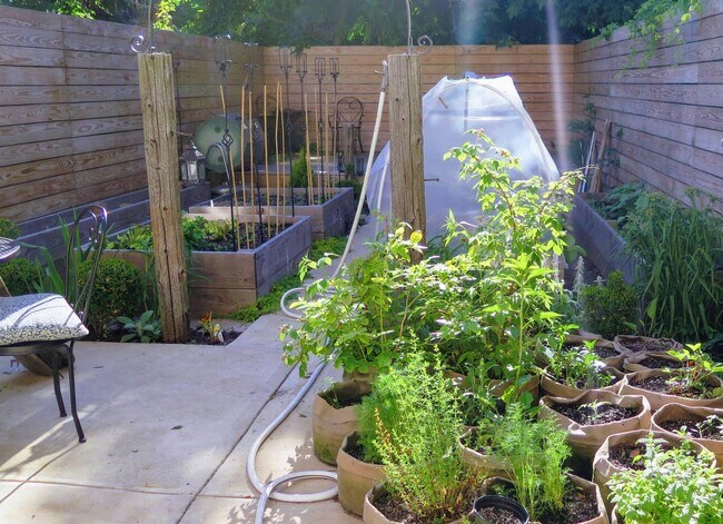 Backyard garden - 10 Roosevelt Pl