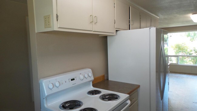Building Photo - 5 Bd/2 Bth - Large fenced backyard!