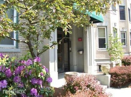 Primary Photo - 84 Gordon St