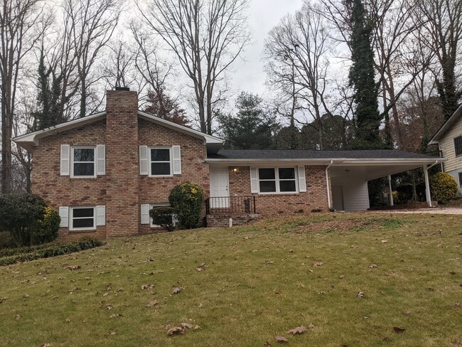 Front Lawn - 3502 Indian Ln