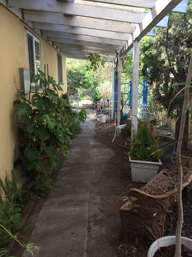 grapevines and jasmine make a covered arbor leading the back garden - 1372 Neola St