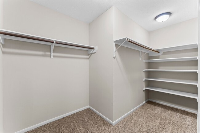 Building Photo - 31131 Perlican Dr