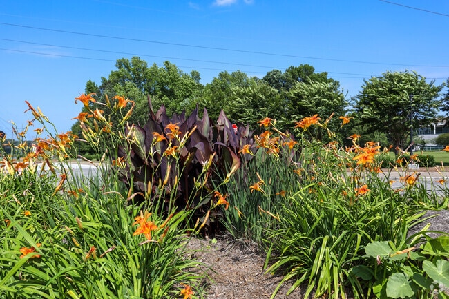Morrow has lush green landscaping throughout the city.