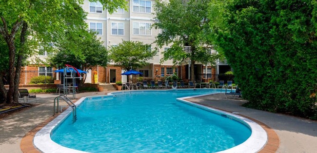 Gorgeous Pool - The Morgan Apartment Homes