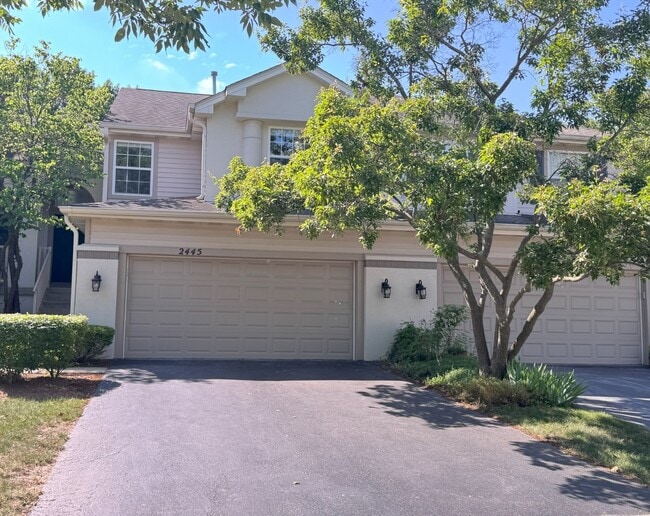 Building Photo - 2445 Palazzo Dr
