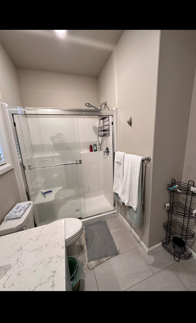 Down stairs bath - 12701 192nd Pl E