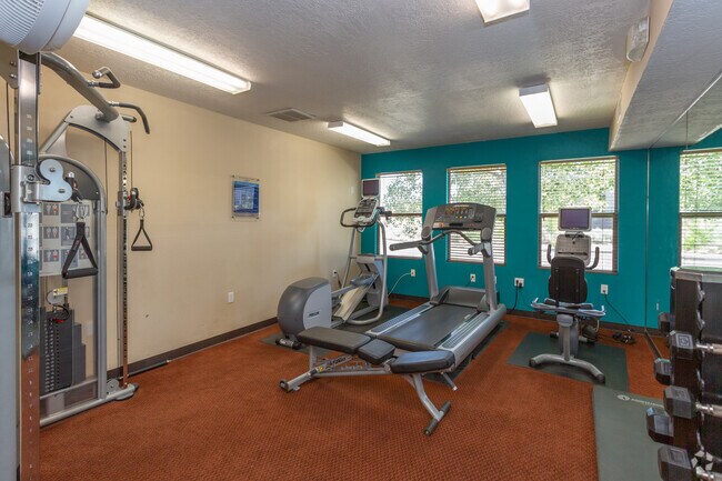 Gimnasio - Las Kivas