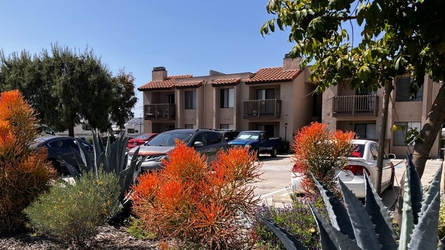 Building Photo - The Vine Apartments