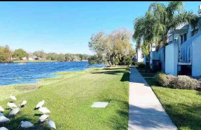 Building Photo - 4134 Dolphin Dr